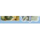 Classical Puppets Snow White Salopette Pants Salopette Overdress and OPs(Limited Pre-Order/4 Colours/Full Payment Without Shipping)